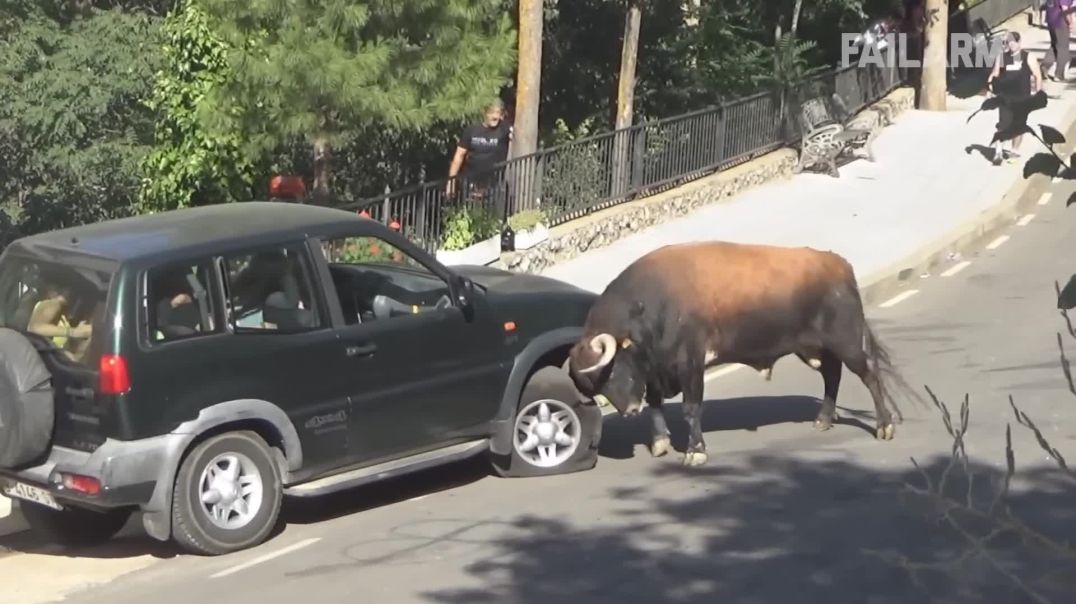 ⁣Damn Nature You Scary